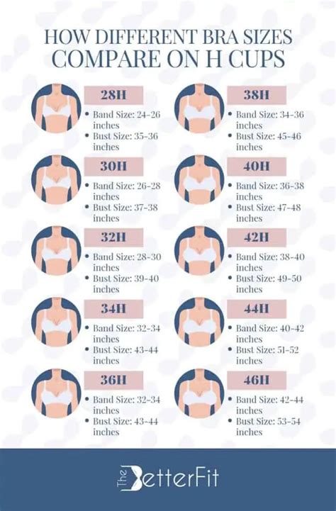 medium size boobs|Breast Size Comparison Side by Side